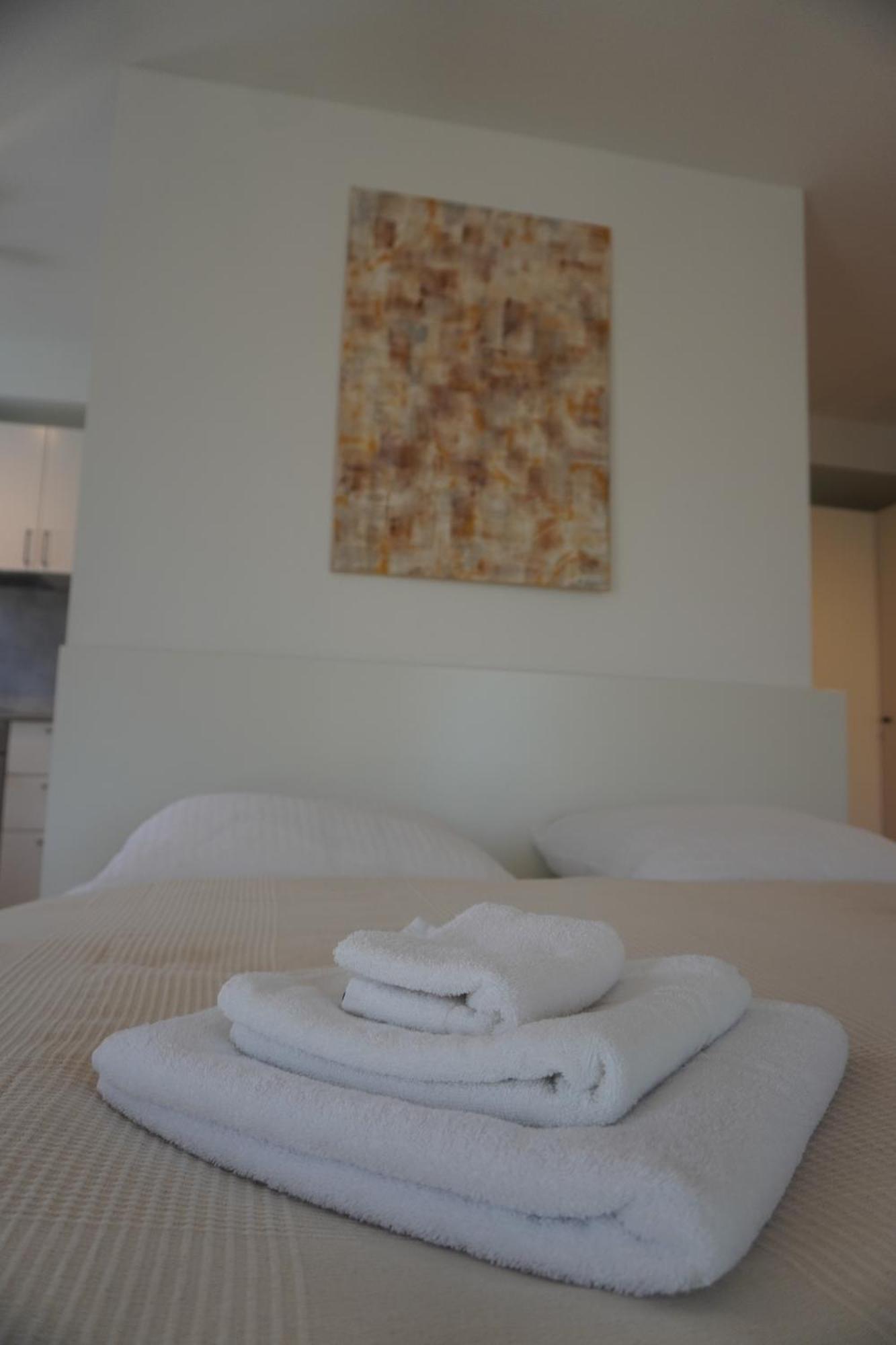 Hb-Living Apartment-Rheinblick Mainz Buitenkant foto